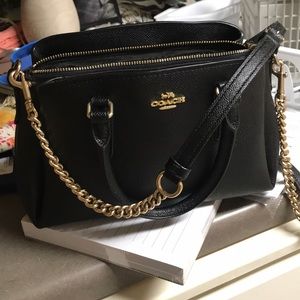 Coach mini sage carryall